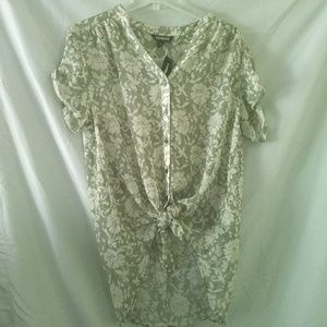 Express Sheer Button- up Blouse